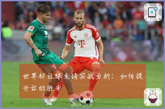 世界杯让球竞猜实战分析：如何提升你的胜率