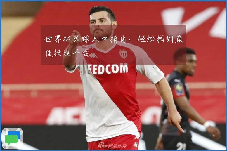 世界杯买球入口指南，轻松找到最佳投注平台