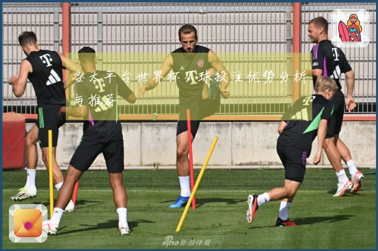 各大平台世界杯买球投注优势分析与推荐