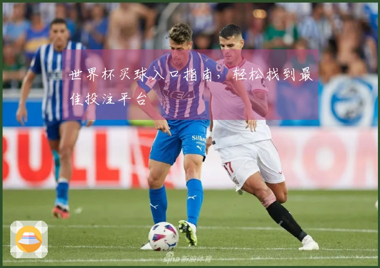 世界杯买球入口指南，轻松找到最佳投注平台