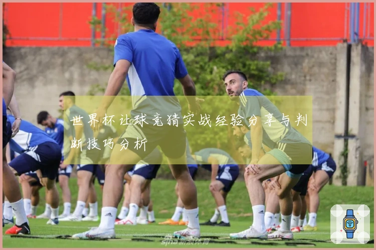 世界杯让球竞猜实战经验分享与判断技巧分析