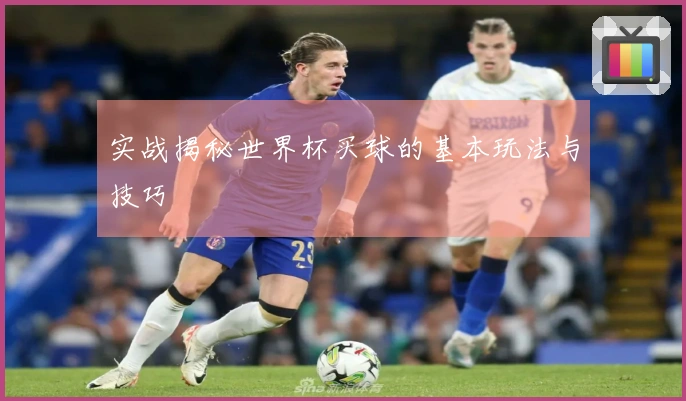 实战揭秘世界杯买球的基本玩法与技巧