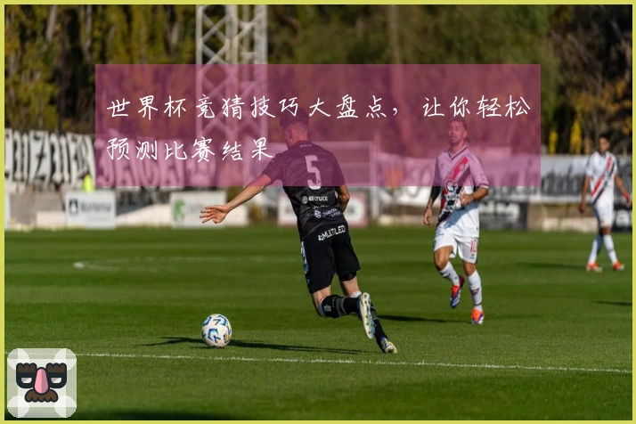 世界杯竞猜技巧大盘点，让你轻松预测比赛结果