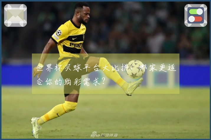世界杯买球平台大比拼，哪家更适合你的购彩需求？