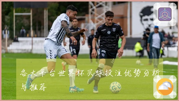 各大平台世界杯买球投注优势分析与推荐