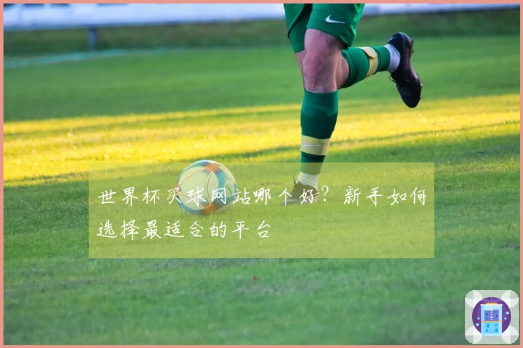 世界杯买球网站哪个好？新手如何选择最适合的平台