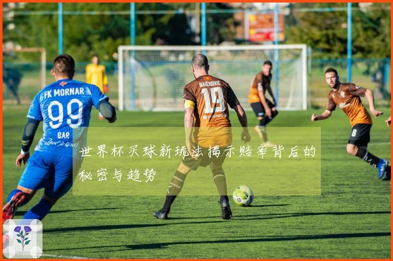 世界杯买球新玩法揭示赔率背后的秘密与趋势