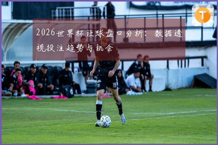 2026世界杯让球盘口分析：数据透视投注趋势与机会