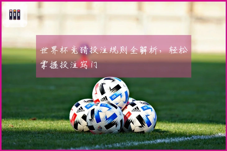 世界杯竞猜投注规则全解析，轻松掌握投注窍门