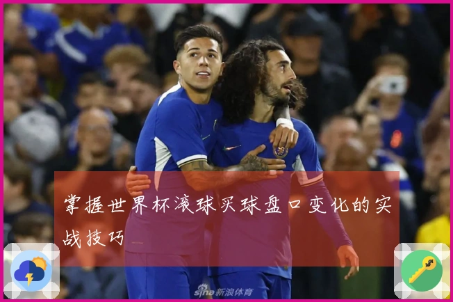 掌握世界杯滚球买球盘口变化的实战技巧
