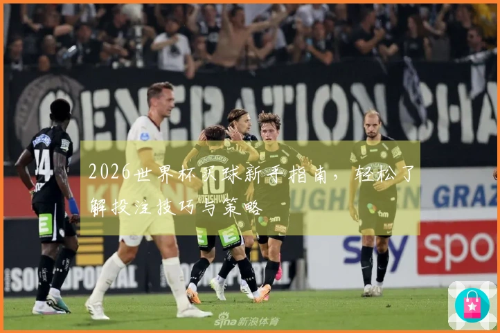 2026世界杯买球新手指南，轻松了解投注技巧与策略