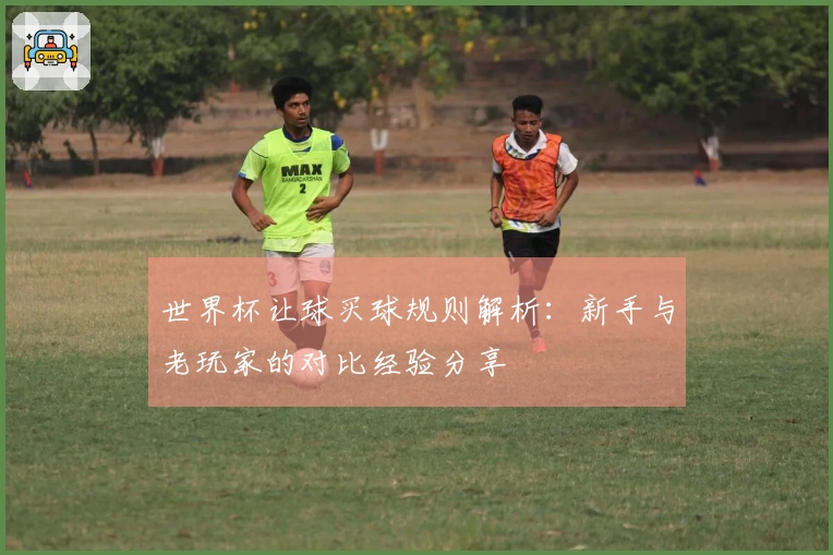 世界杯让球买球规则解析：新手与老玩家的对比经验分享