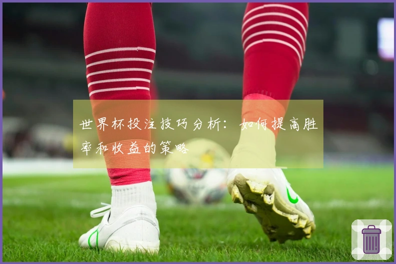世界杯投注技巧分析：如何提高胜率和收益的策略