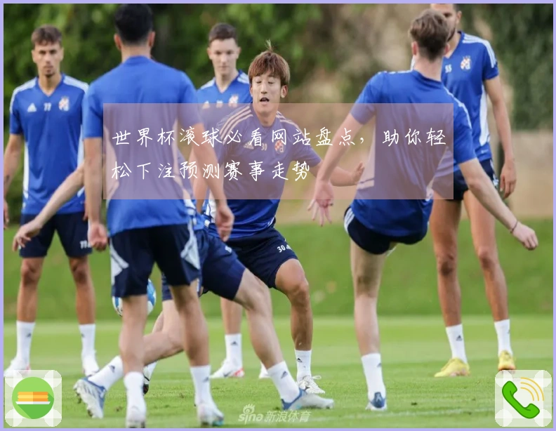 世界杯滚球必看网站盘点，助你轻松下注预测赛事走势