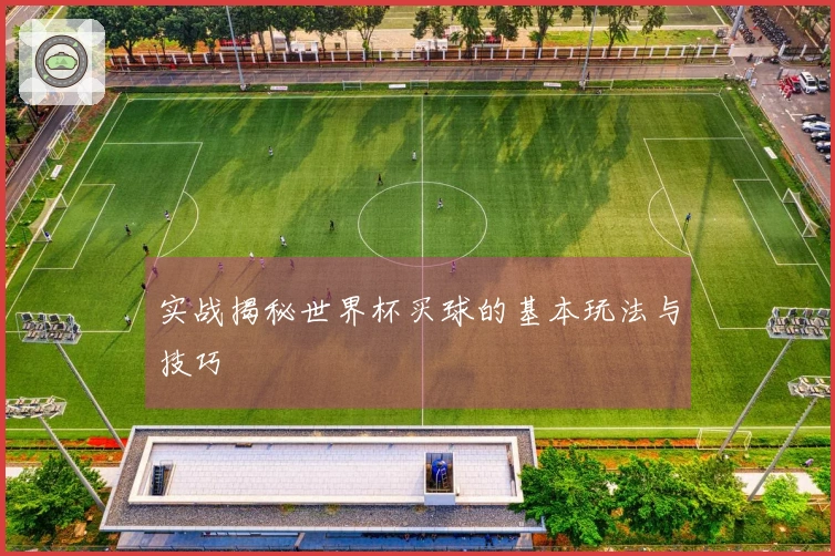 实战揭秘世界杯买球的基本玩法与技巧