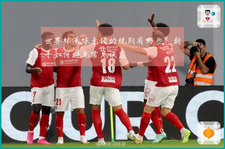 世界杯滚球竞猜的规则有哪些？新手如何避免常见误区