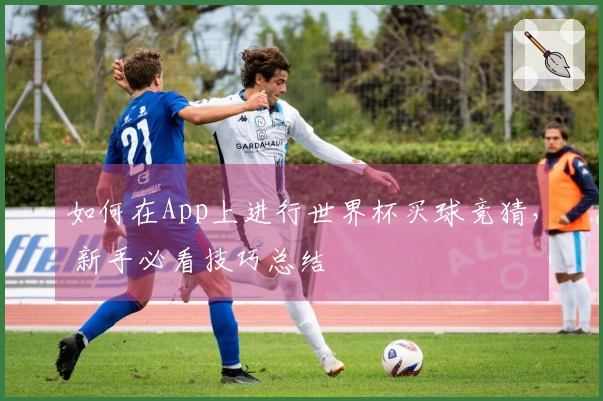 如何在App上进行世界杯买球竞猜， 新手必看技巧总结