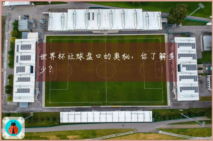 世界杯让球盘口的奥秘，你了解多少？