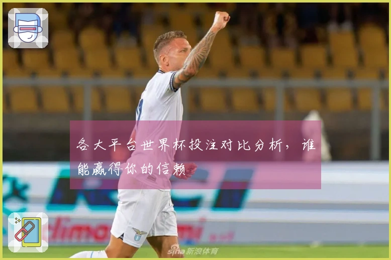 各大平台世界杯投注对比分析，谁能赢得你的信赖